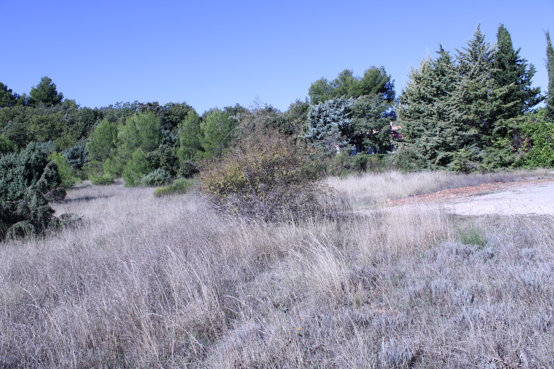 À VENDRE : Terrain à bâtir de 1586 m2 à Baudinard-sur-Verdon